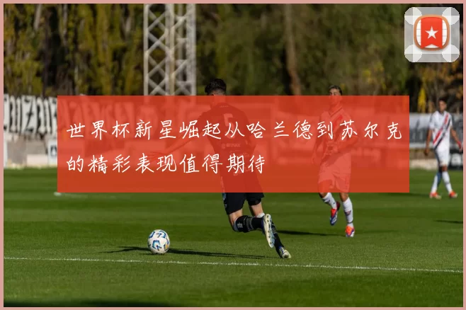 世界杯新星崛起从哈兰德到苏尔克的精彩表现值得期待